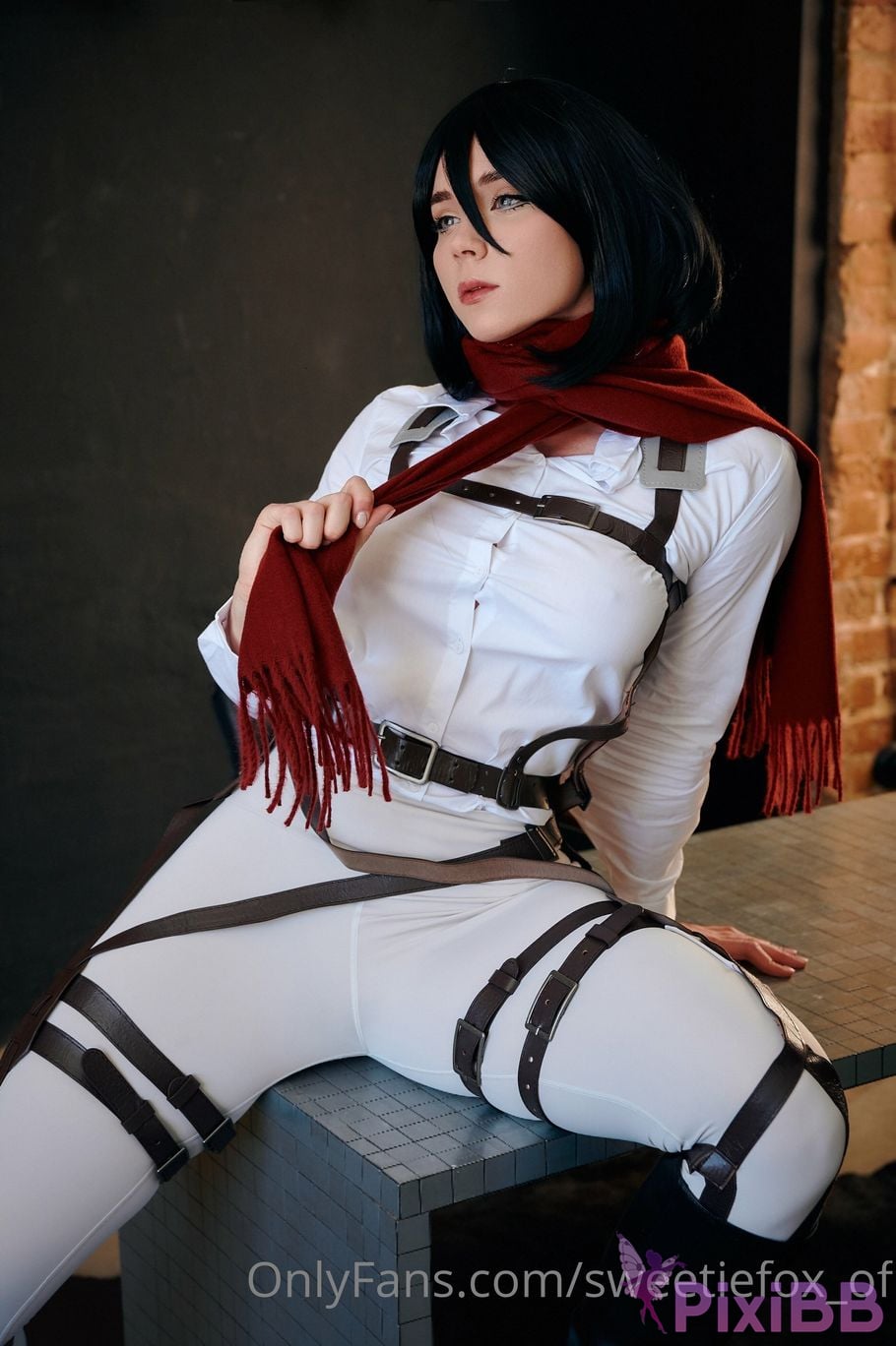 Sweetie Fox Mikasa Ackerman PixiBB.COM 47