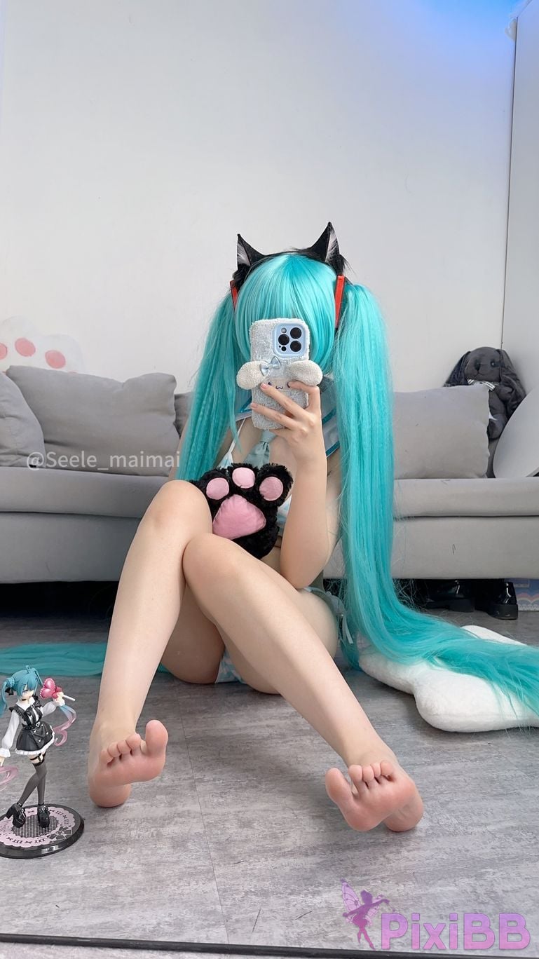 Coser Seele mai mai PixiBB.COM 035