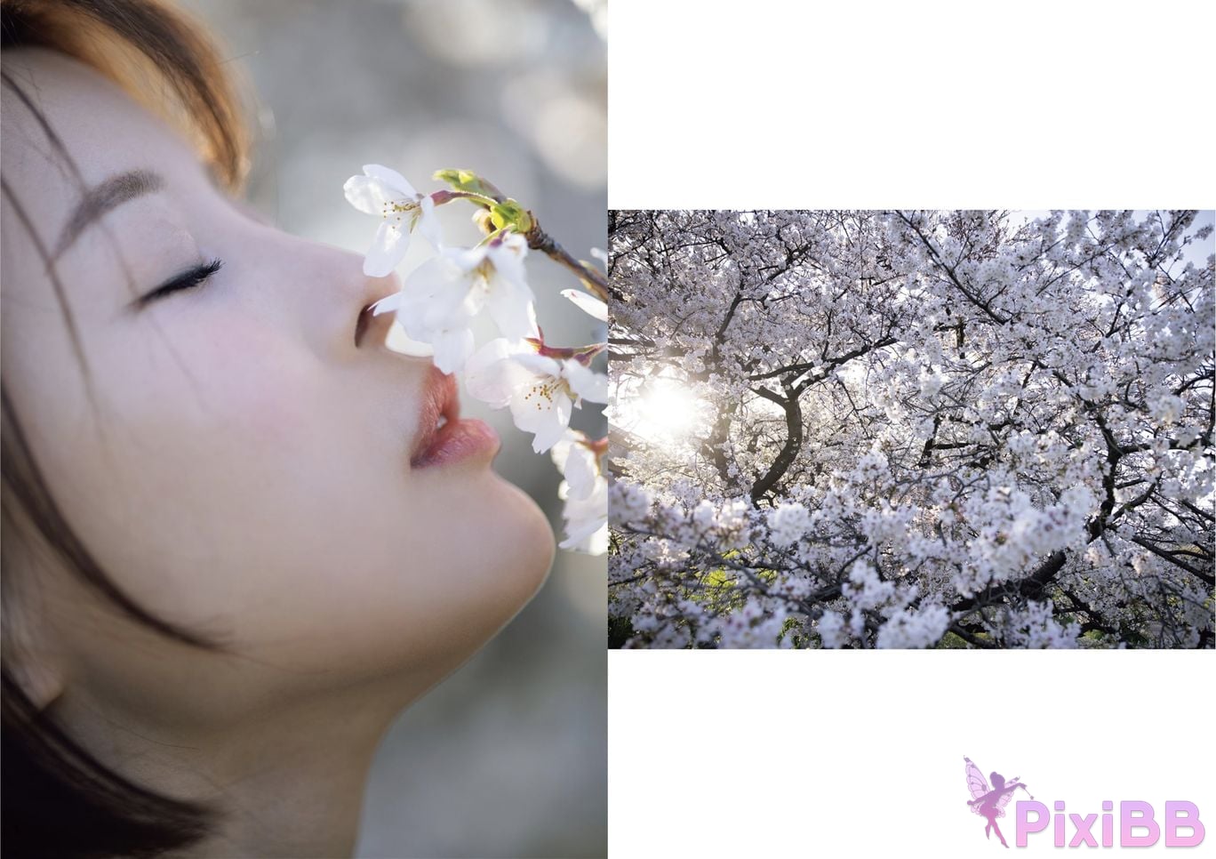 Japanese Idol Tsukasa Aoi Asa Gei SEXY photo collection complete version PixiBB.COM 076