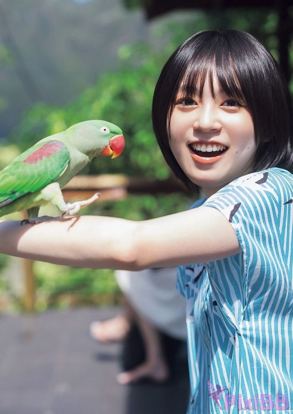 Japanese Idol Yuki Nakashima Nakajima E book limited cover photo collection blue voice graph books PixiBB.COM 010