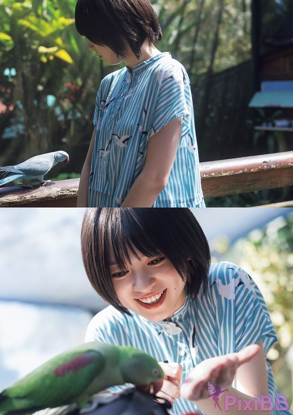 Japanese Idol Yuki Nakashima Nakajima E book limited cover photo collection blue voice graph books PixiBB.COM 011