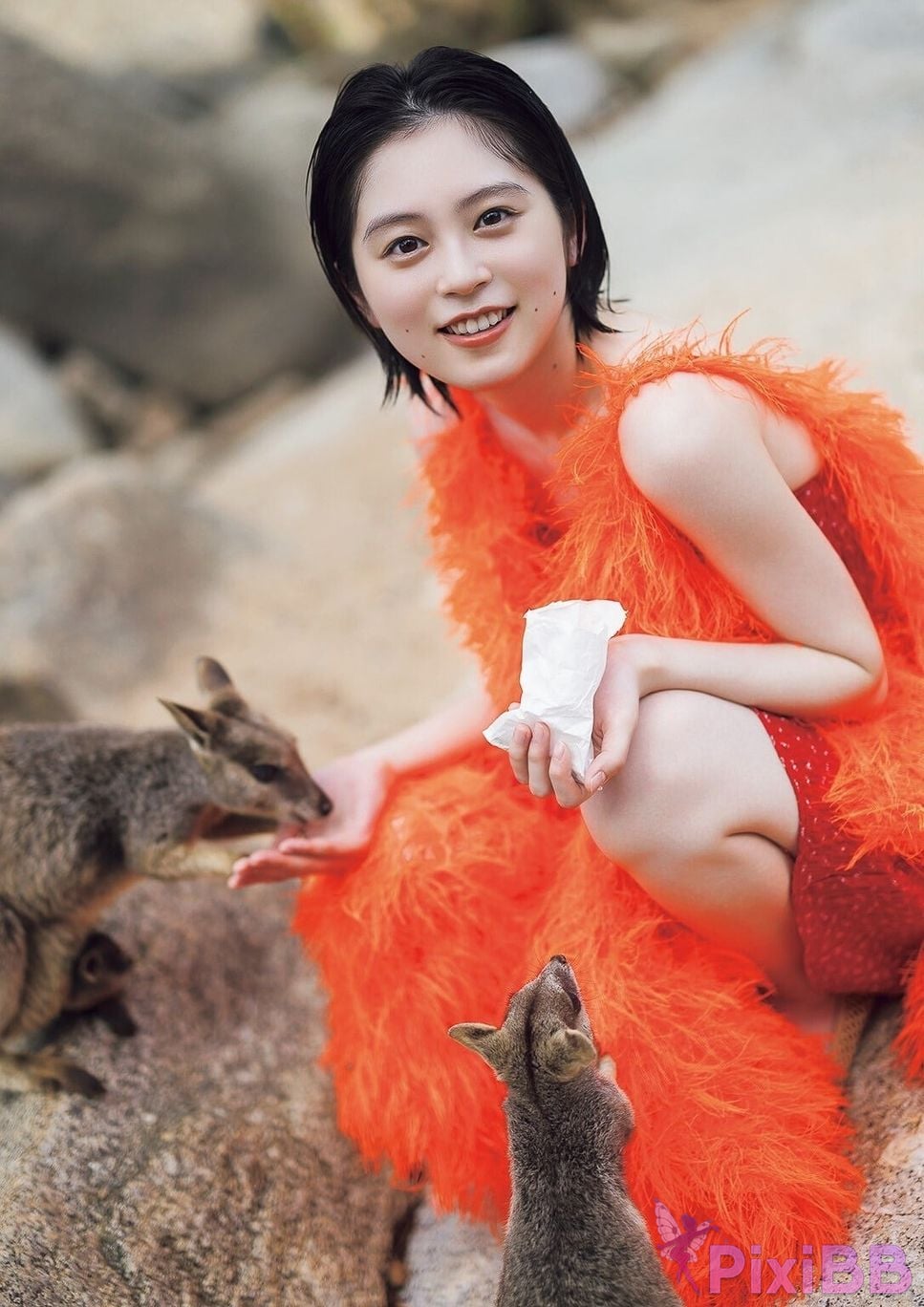 Japanese Idol Yuki Nakashima Nakajima E book limited cover photo collection blue voice graph books PixiBB.COM 113