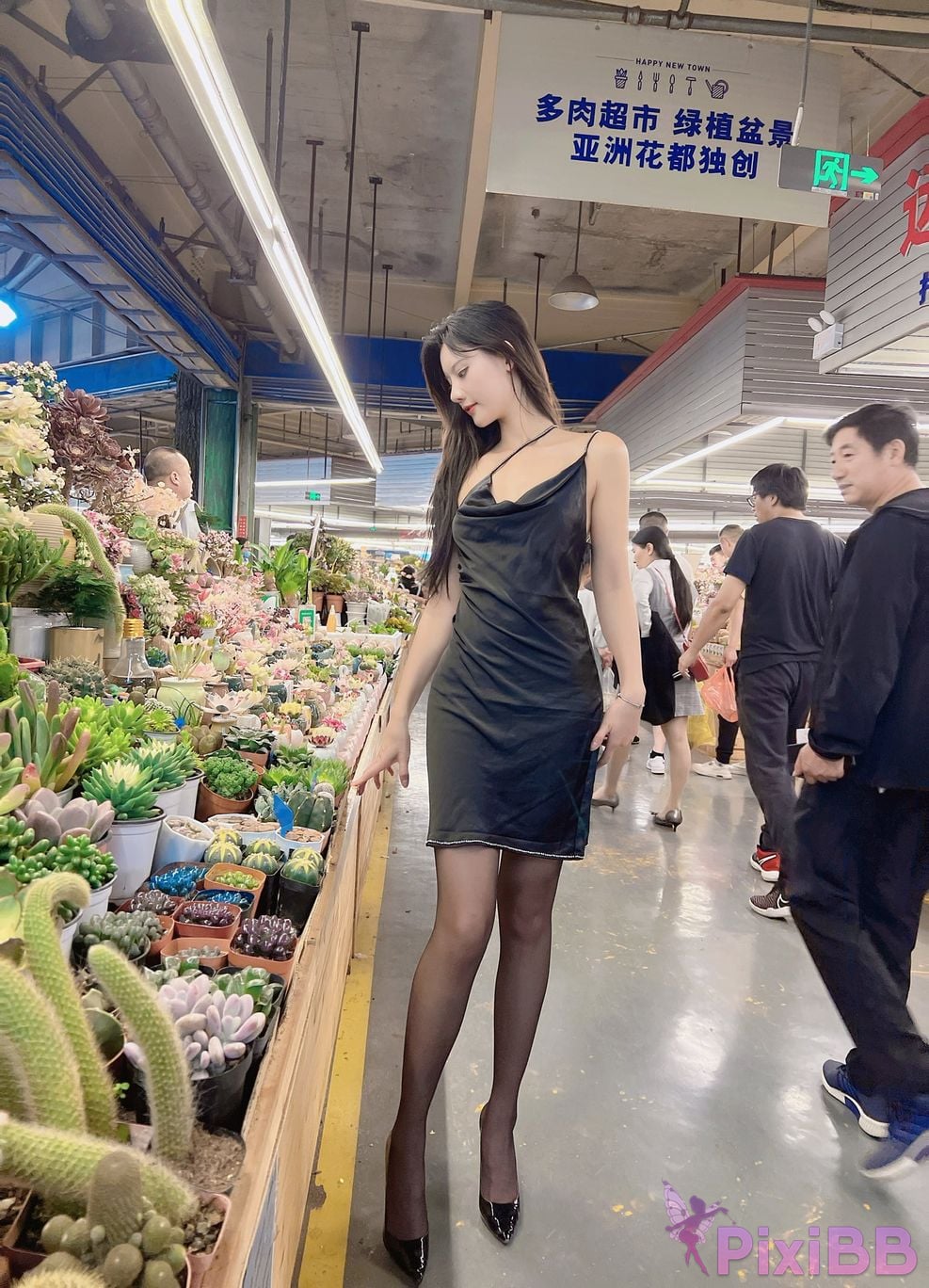 Jiu Shi A Zhu A VIP PixiBB.COM 297
