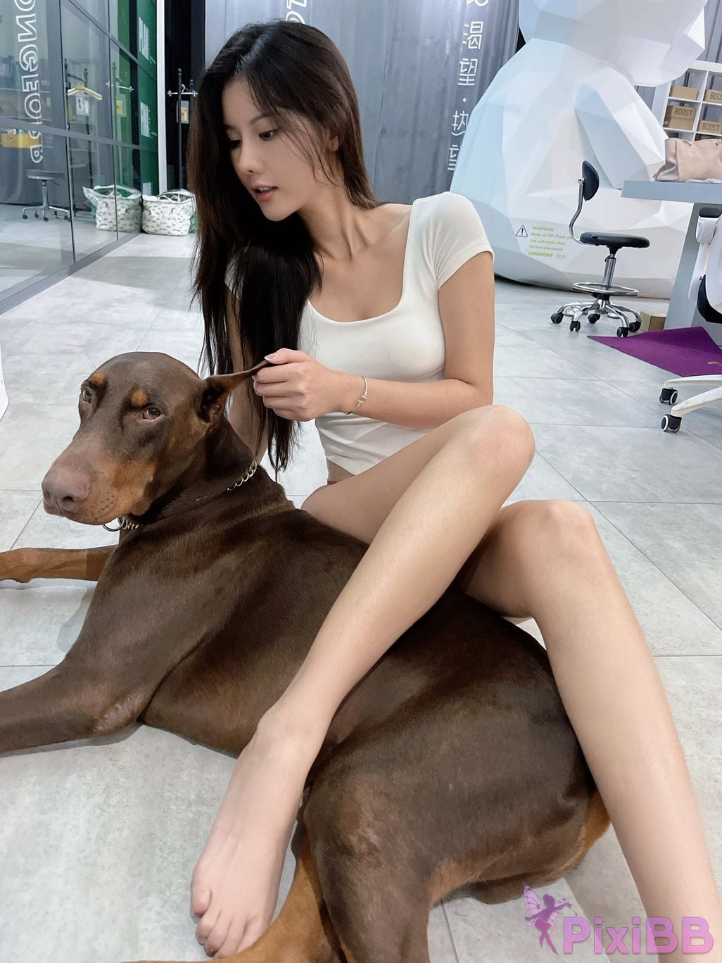 Jiu Shi A Zhu A VIP PixiBB.COM 304