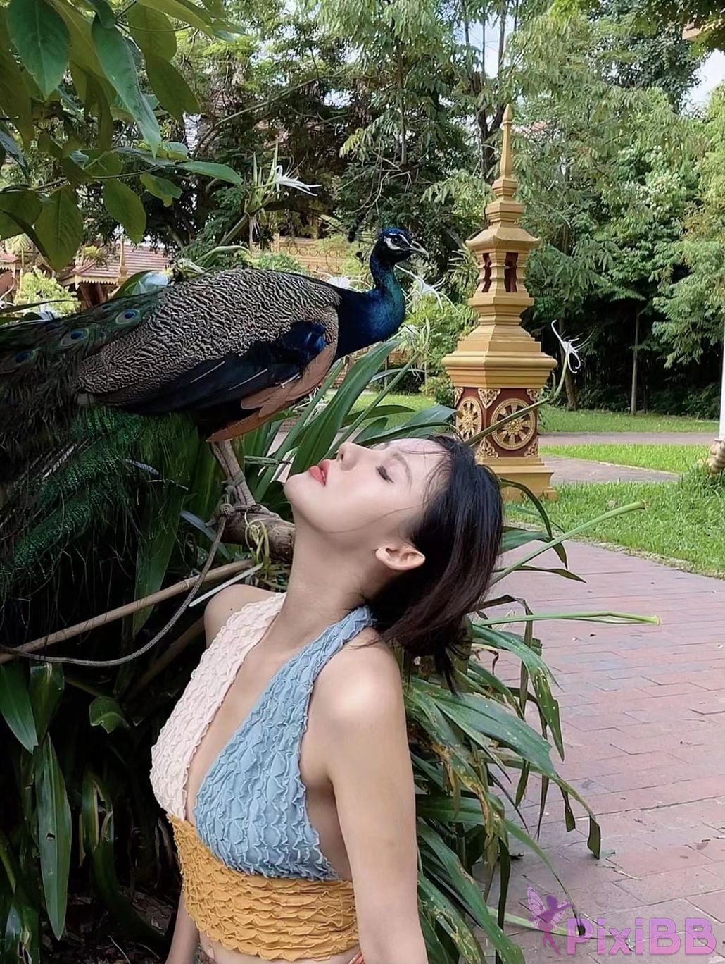 Jiu Shi A Zhu A VIP PixiBB.COM 394