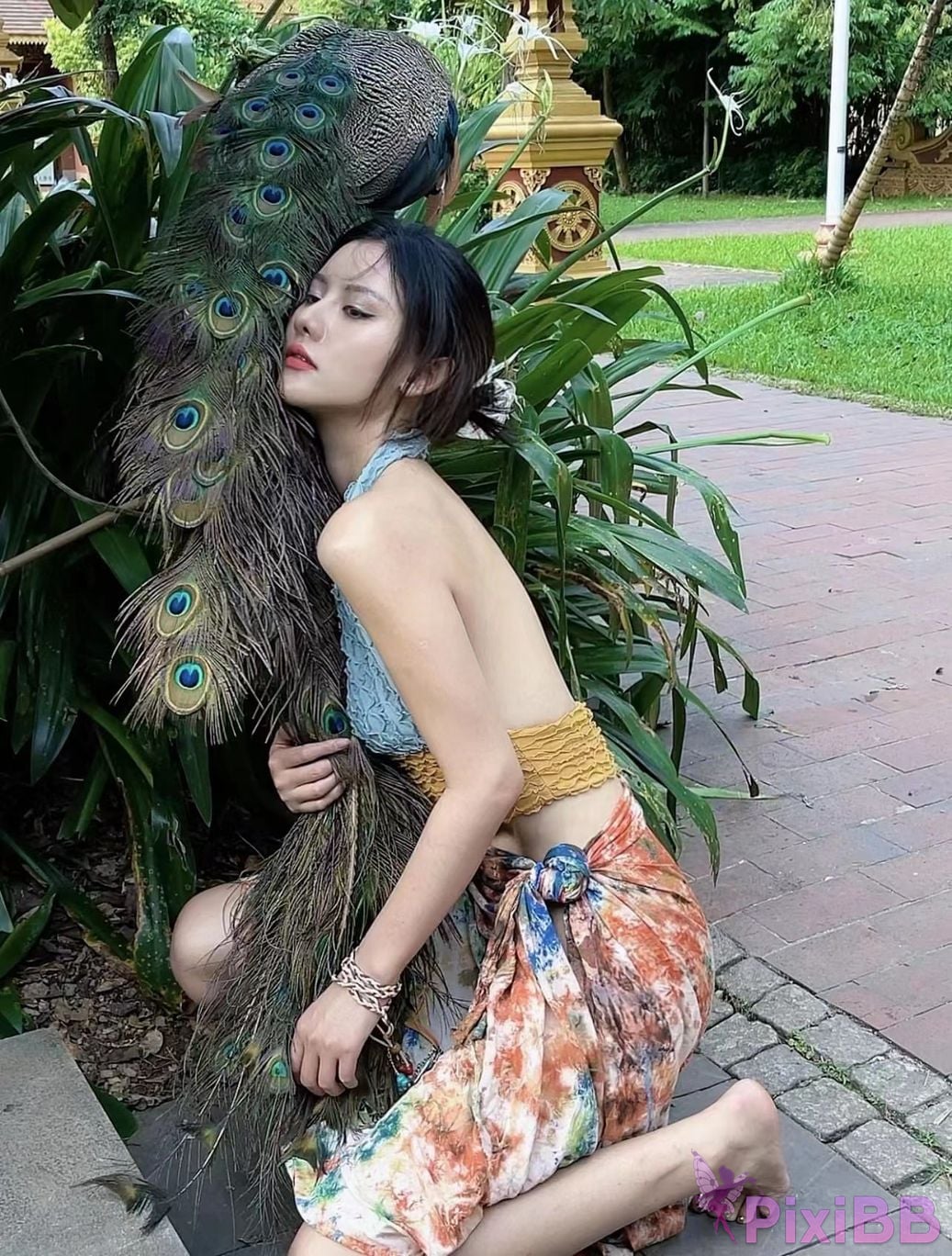 Jiu Shi A Zhu A VIP PixiBB.COM 395