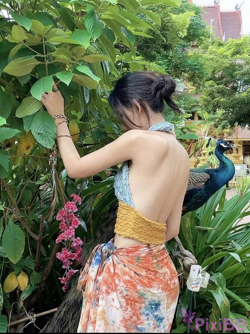 Jiu Shi A Zhu A VIP PixiBB.COM 396