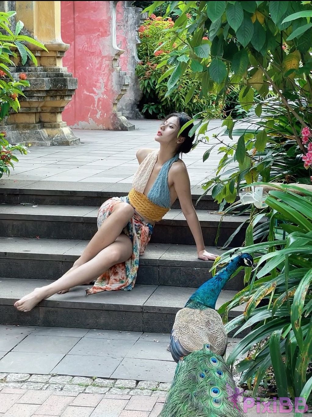 Jiu Shi A Zhu A VIP PixiBB.COM 399