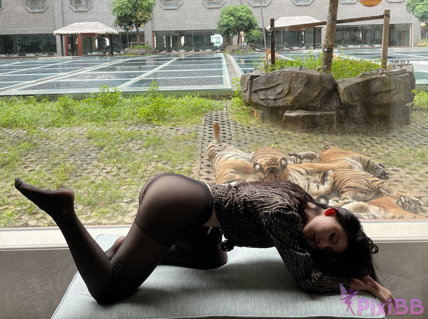 Jiu Shi A Zhu A VIP PixiBB.COM 467
