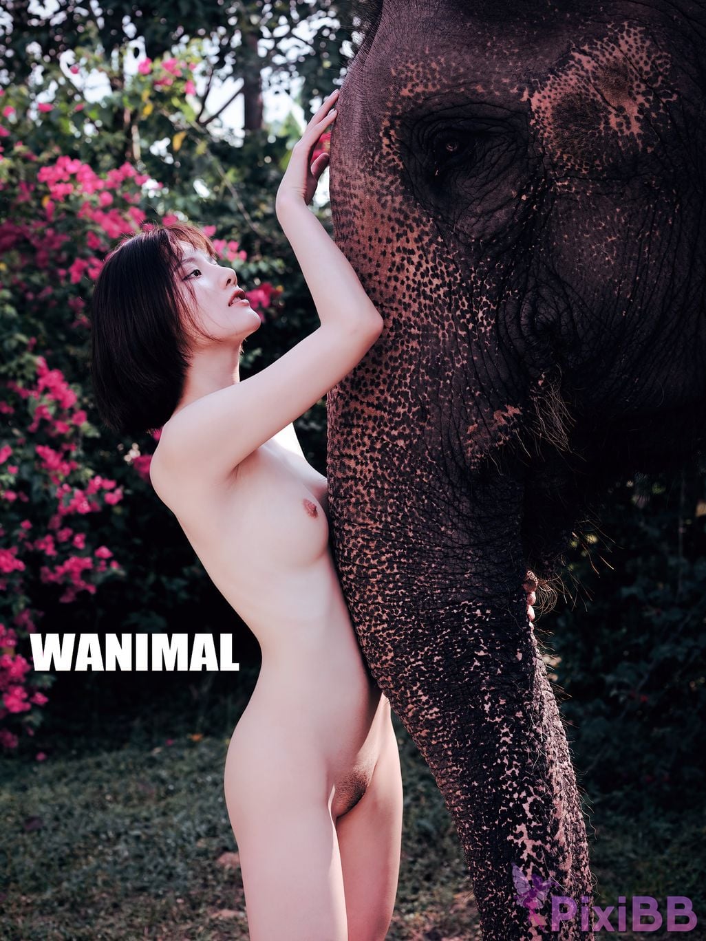 Jiu Shi A Zhu A Premium Photo Set Collection No.13 uncensored PixiBB.COM 010
