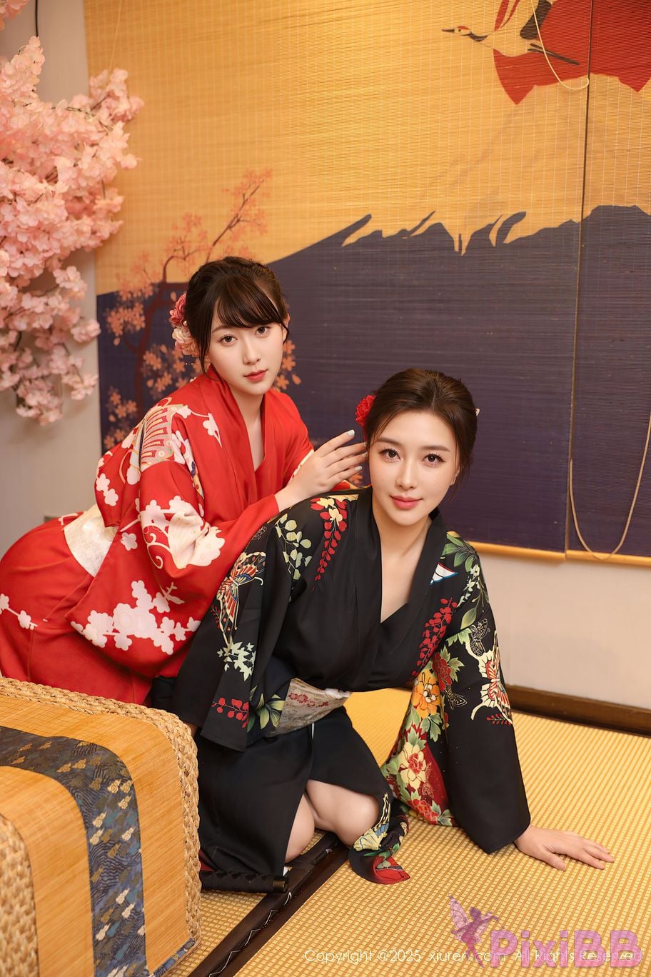 XIUREN No.10627 Su Yinuo PixiBB.COM 003
