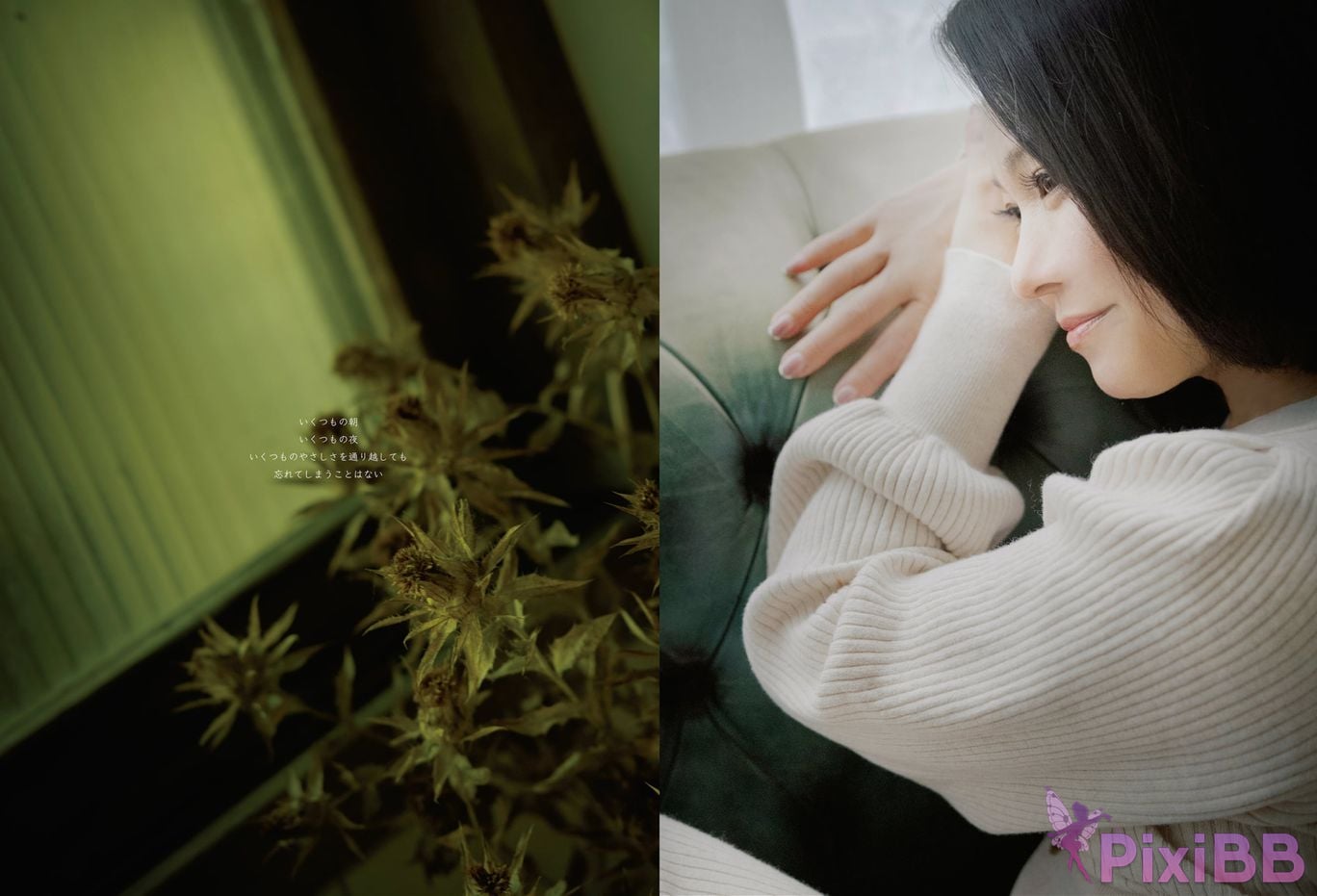 Japanese Idol Maiko Ayase Asa Gei SEXY Actress photo collection love Again PixiBB.COM 018