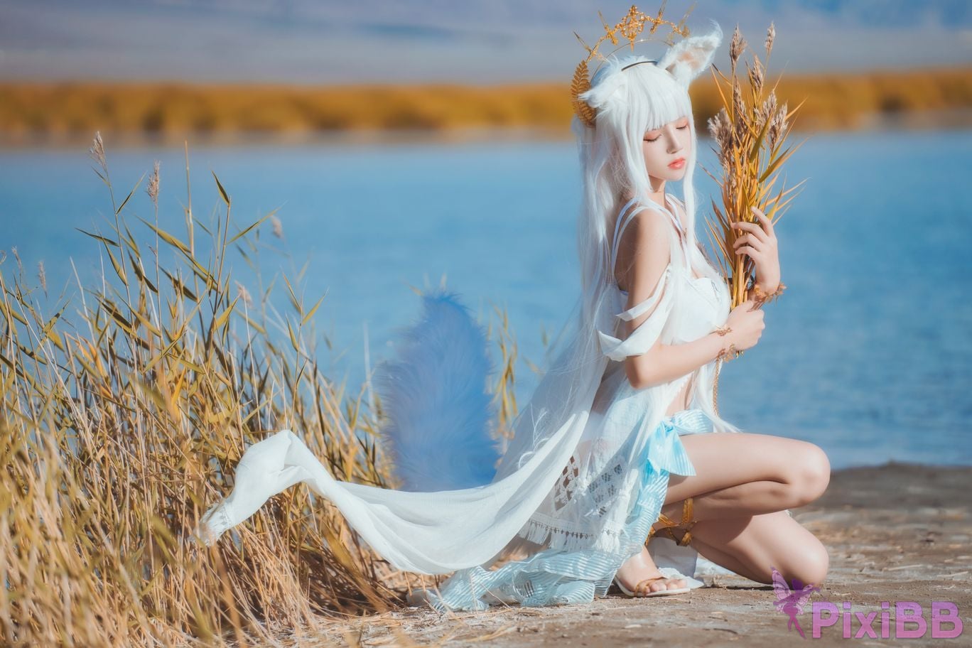 Coser Cherry neko Vol.105 PixiBB.COM 001