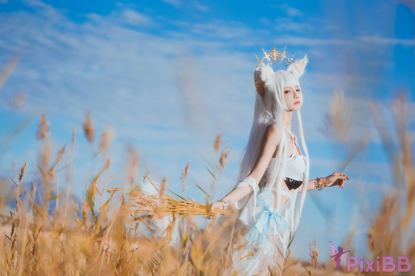 Coser Cherry neko Vol.105 PixiBB.COM 019