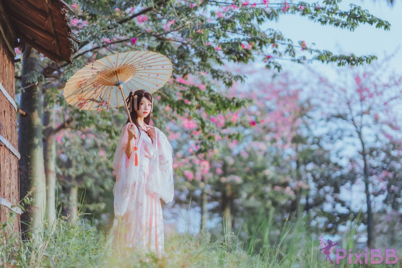 Coser Cherry neko Vol.102 4 PixiBB.COM 037