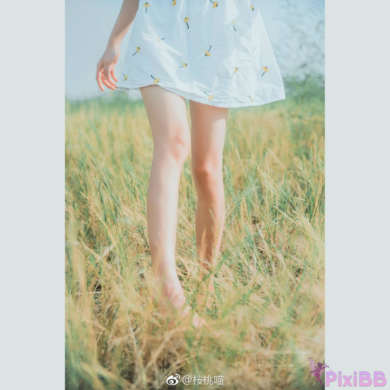Coser Cherry neko Vol.051 PixiBB.COM 361