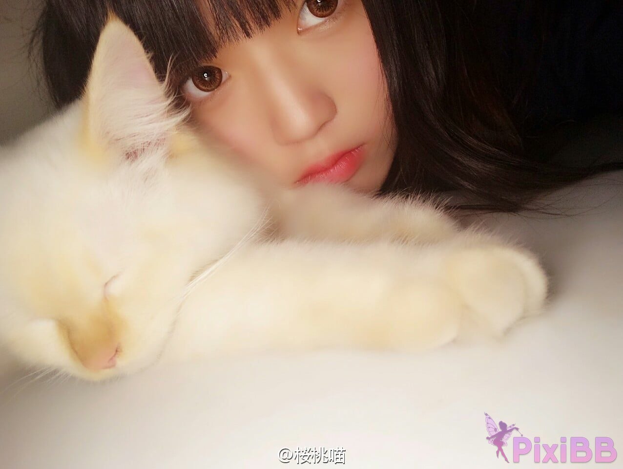 Coser Cherry neko Vol.051 PixiBB.COM 726