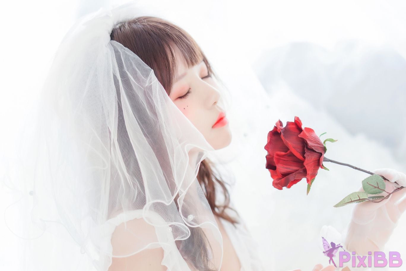 Coser Cherry neko Vol.040 02 PixiBB.COM 003