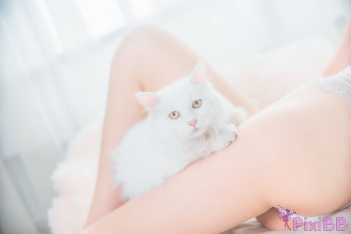 Coser Cherry neko Vol.014 2018 PixiBB.COM 033