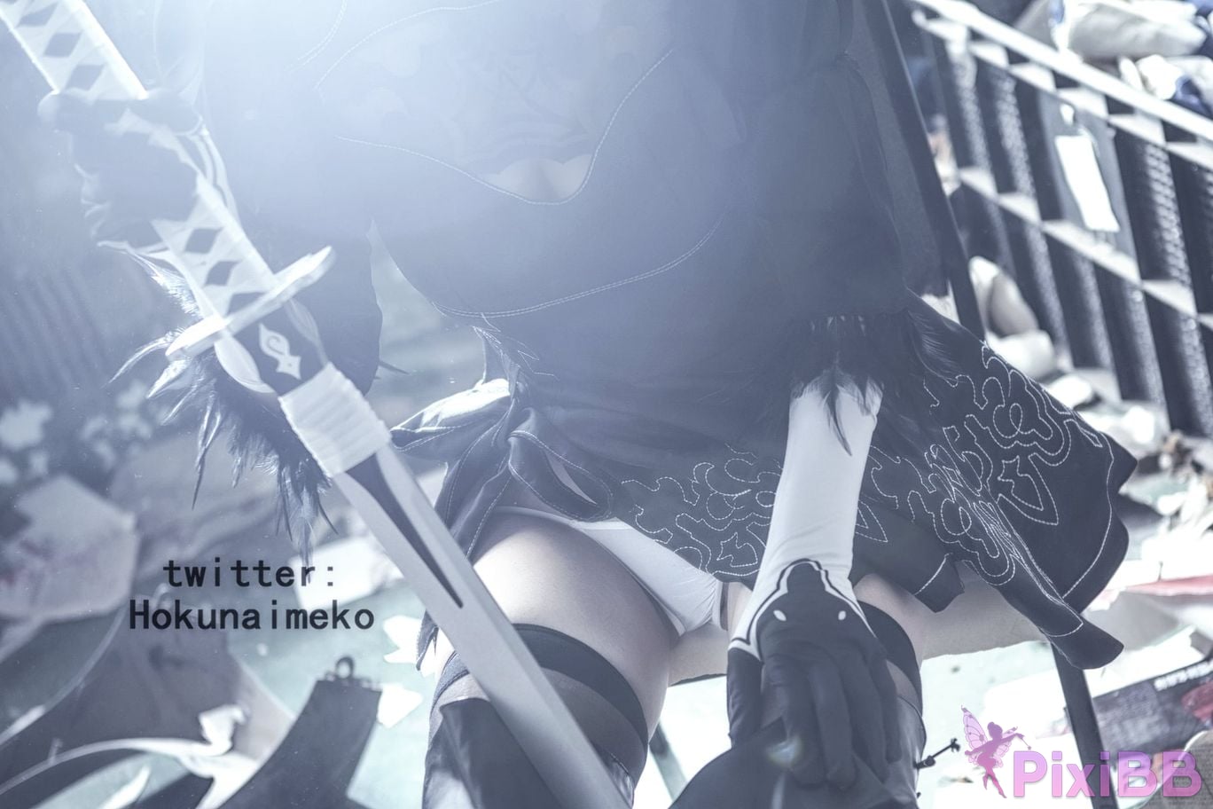 Coser Hokunaimeko PixiBB.COM 008
