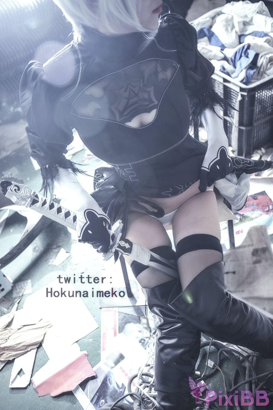 Coser Hokunaimeko PixiBB.COM 013