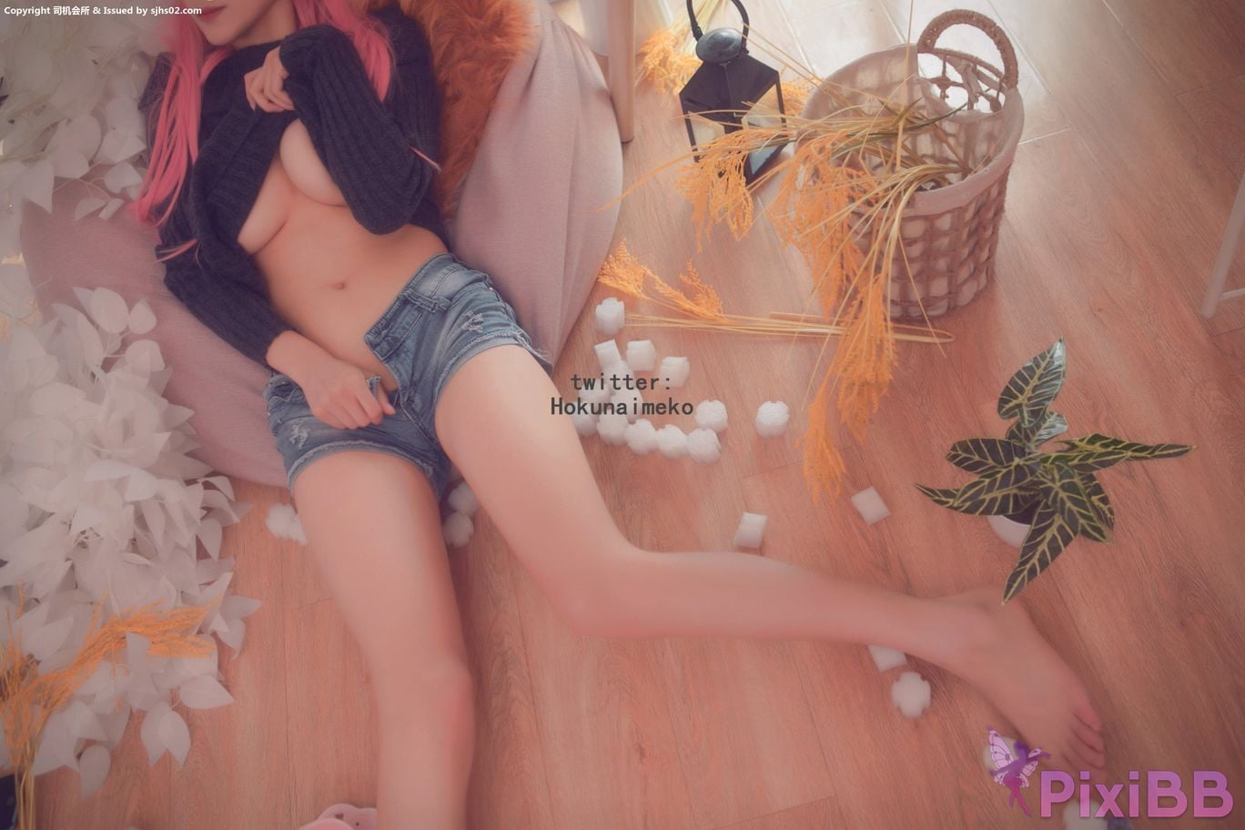 Coser Hokunaimeko ver PixiBB.COM 054