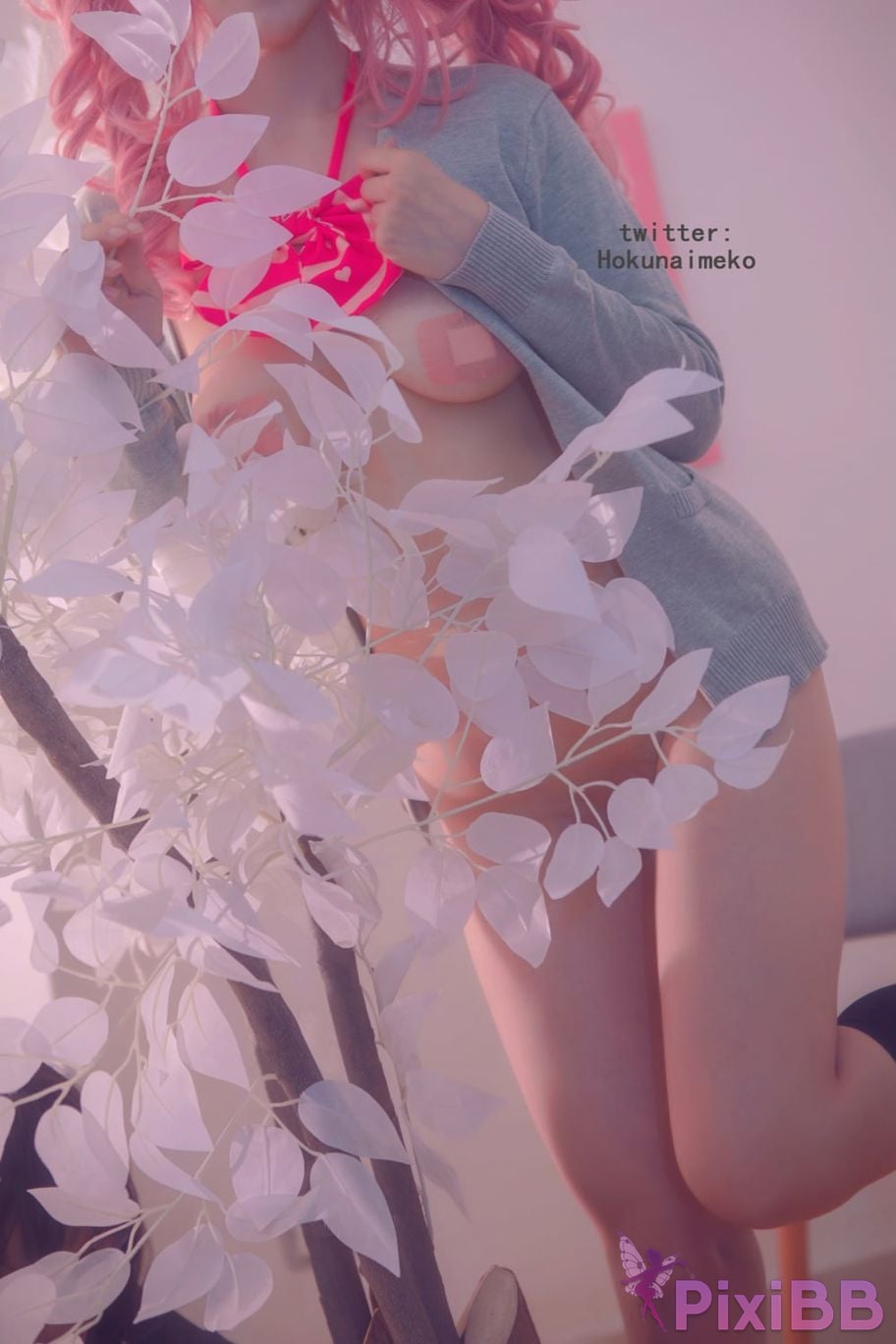 Coser Hokunaimeko ver PixiBB.COM 093